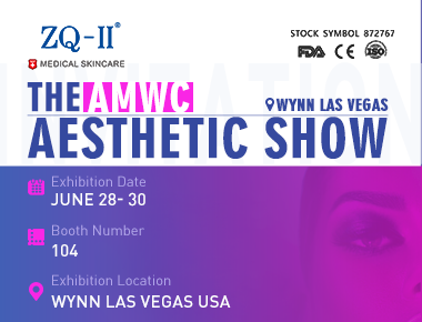 Inovasi Didedahkan: Sorotan ZQ-II daripada The Aesthetic Show 2024